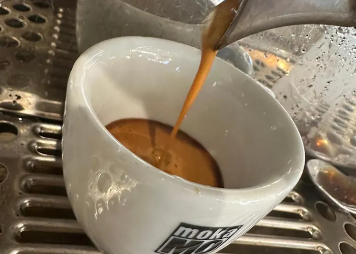 Michelangelo House Bed and breakfast Trento